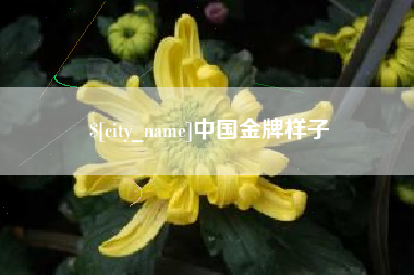 咸阳中国金牌样子