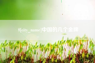 咸阳中国的几个金牌