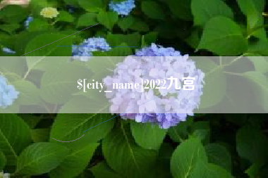 咸阳2022九宫