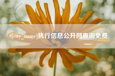 咸阳执行信息公开网查询免费