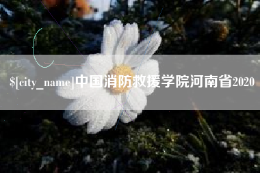 咸阳中国消防救援学院河南省2020